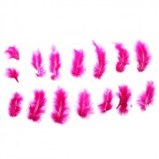Украшение декоративное Перо 10шт/набор 10см цвет розовый
