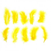 Украшение декоративное Перо 10шт/набор 10см цвет желтый