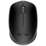 Мышь беспроводная Logitech Wireless Mouse M171