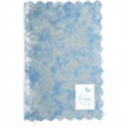 Ежедневник недатированный "deVENTE Shadow" A5 (145 ммx205 мм) 320 стр, бледно-голубой с серебром, белая бумага 70 г/м², печать в 2 краски, мягкая фигурная обложка из искусственной кожи с перламутровой патиной, аппликация, тиснение фольгой, перфорация, 2 л